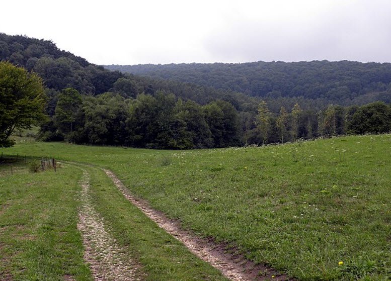 Arboretum du Petit-Bois, Montfaucon-d'Argonne, France, France